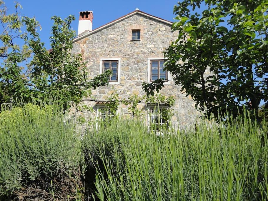 A Lovely House In Vipava Valley Zewnętrze zdjęcie