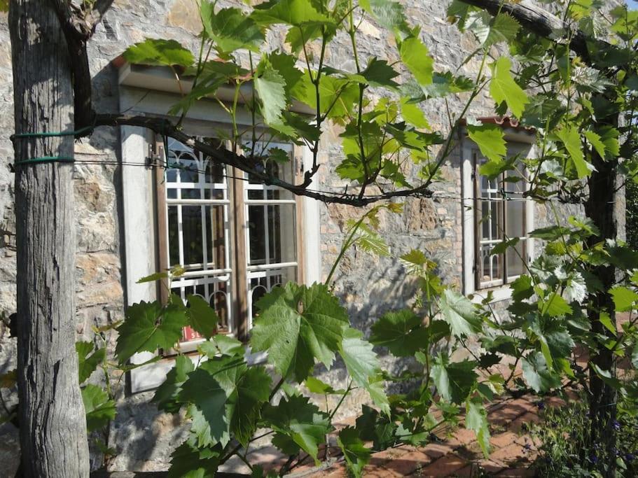 A Lovely House In Vipava Valley Zewnętrze zdjęcie